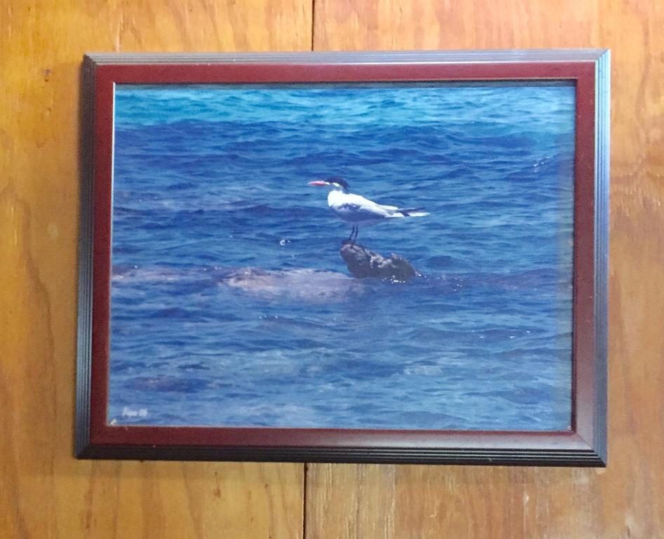 Dancing Tortugas Hotel Aguadilla Eksteriør billede